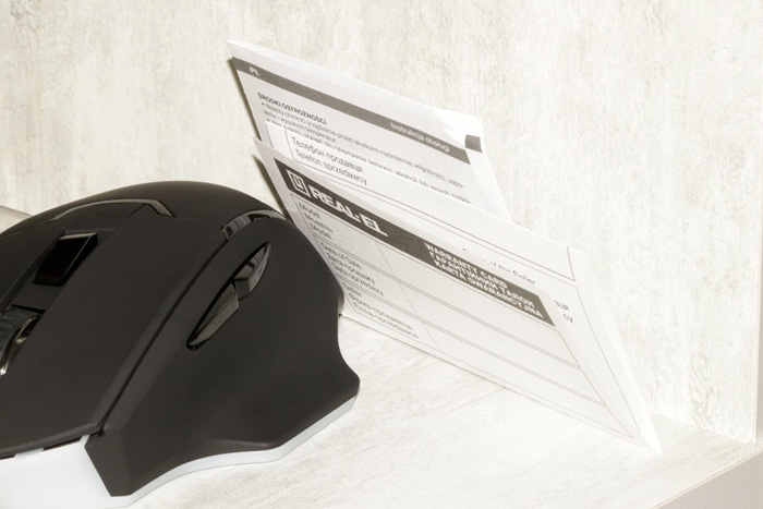 gejmerskaya_mishka_REAL_EL _RM_555